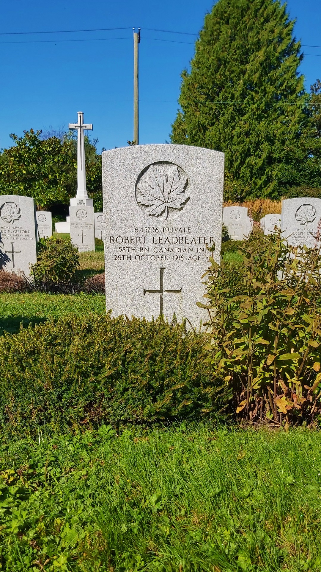 marker image