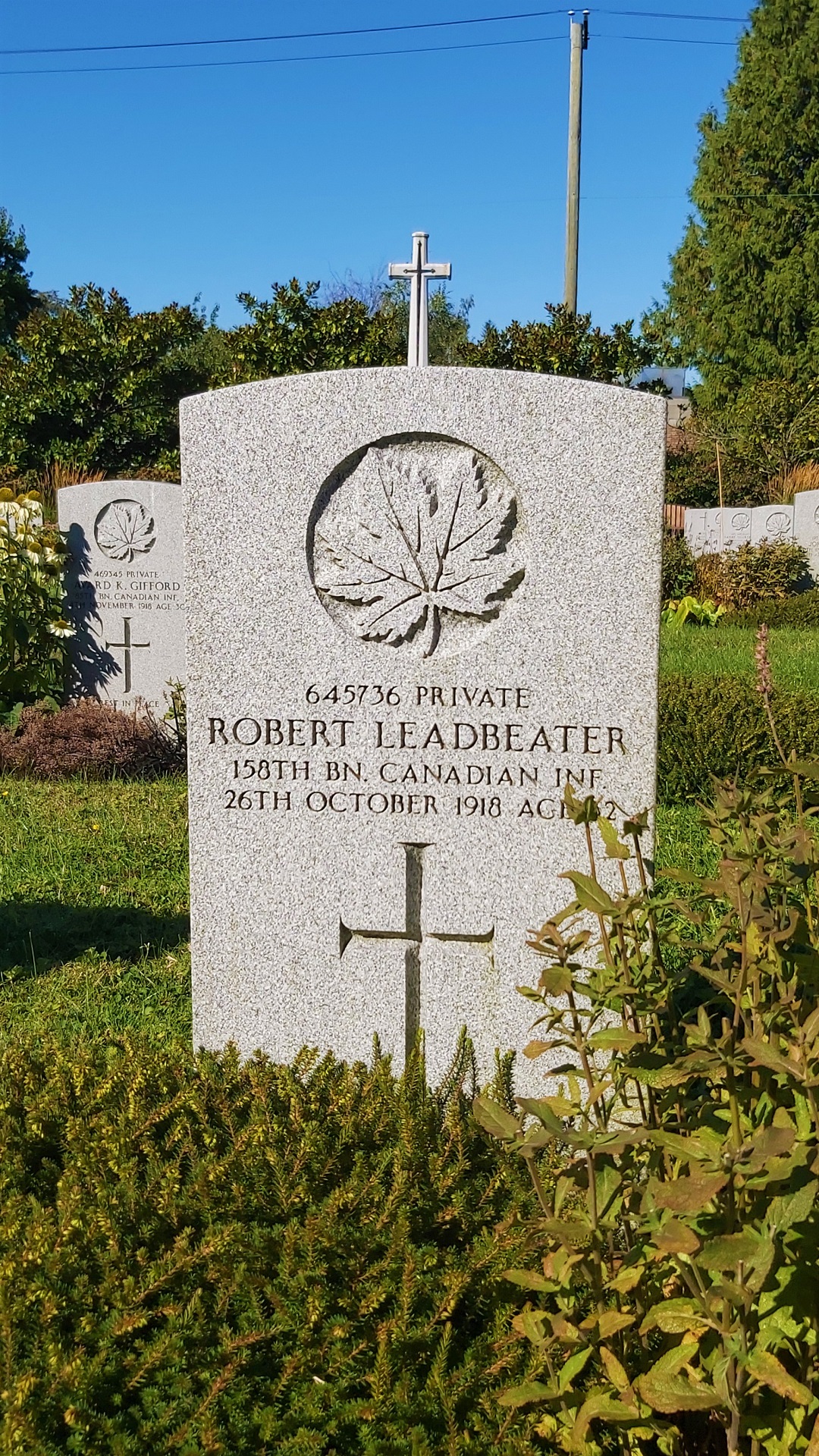 marker image